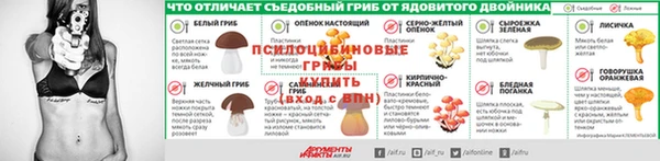 ALPHA PVP Алзамай