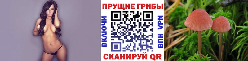 где найти   Дегтярск  Псилоцибиновые грибы мухоморы 