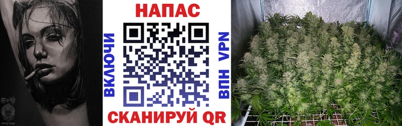 Бошки марихуана MAZAR  цены   Дегтярск 